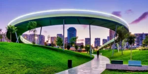 Read more about the article Dubai Residents Shocked as Municipality Lets Them Shape New Parks